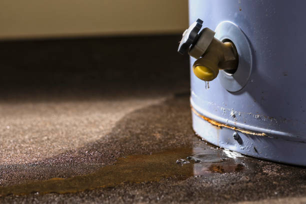 Best Sewage cleanup and water damage restoration  in Davenport, FL