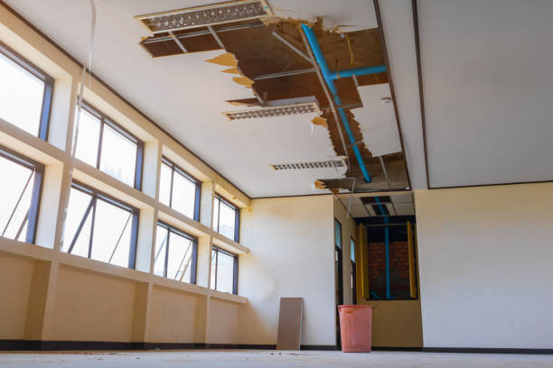 Reliable FL Water damage restoration Solutions