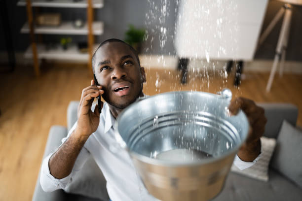 Best 24-hour water damage restoration  in Davenport, FL