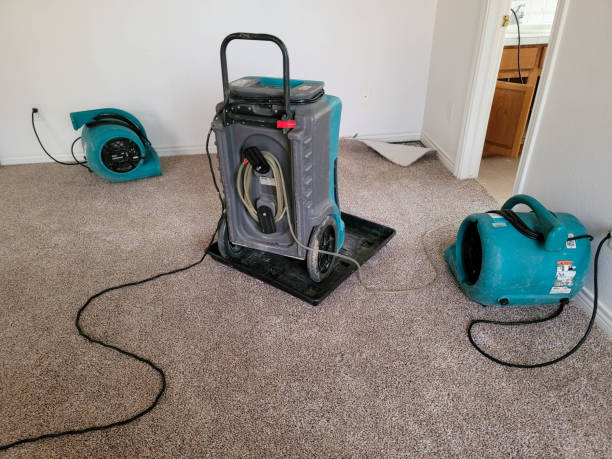 Best Basement water damage restoration  in Davenport, FL