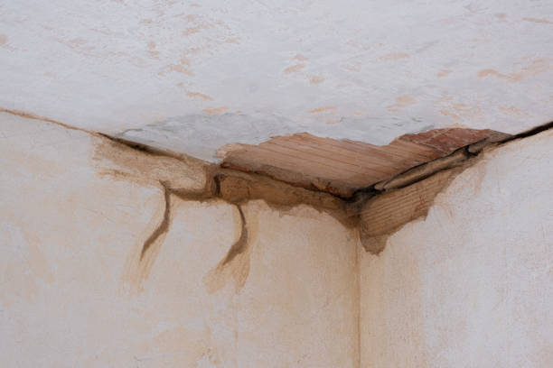 Best Water damage restoration near me  in Davenport, FL