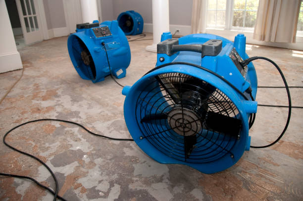 Best Ceiling water damage repair  in Davenport, FL