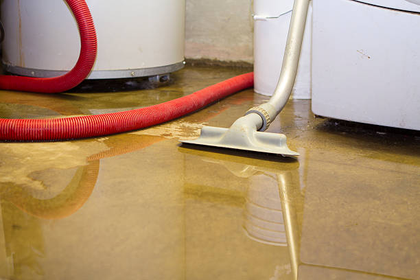 Best Carpet water damage restoration  in Davenport, FL