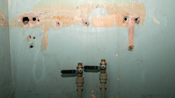 Best Flooded house restoration  in Davenport, FL