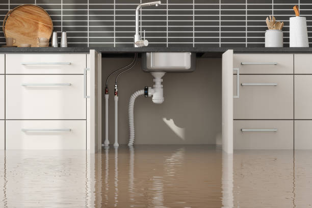 Best Local water damage restoration  in Davenport, FL