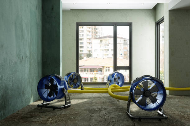 Best Water damage restoration specialists  in Davenport, FL